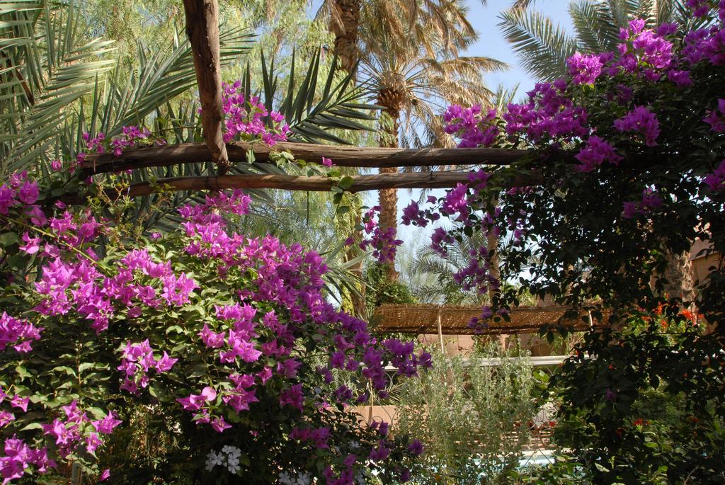 Villa Zagora Ma Villa Au Sahara Exterior foto