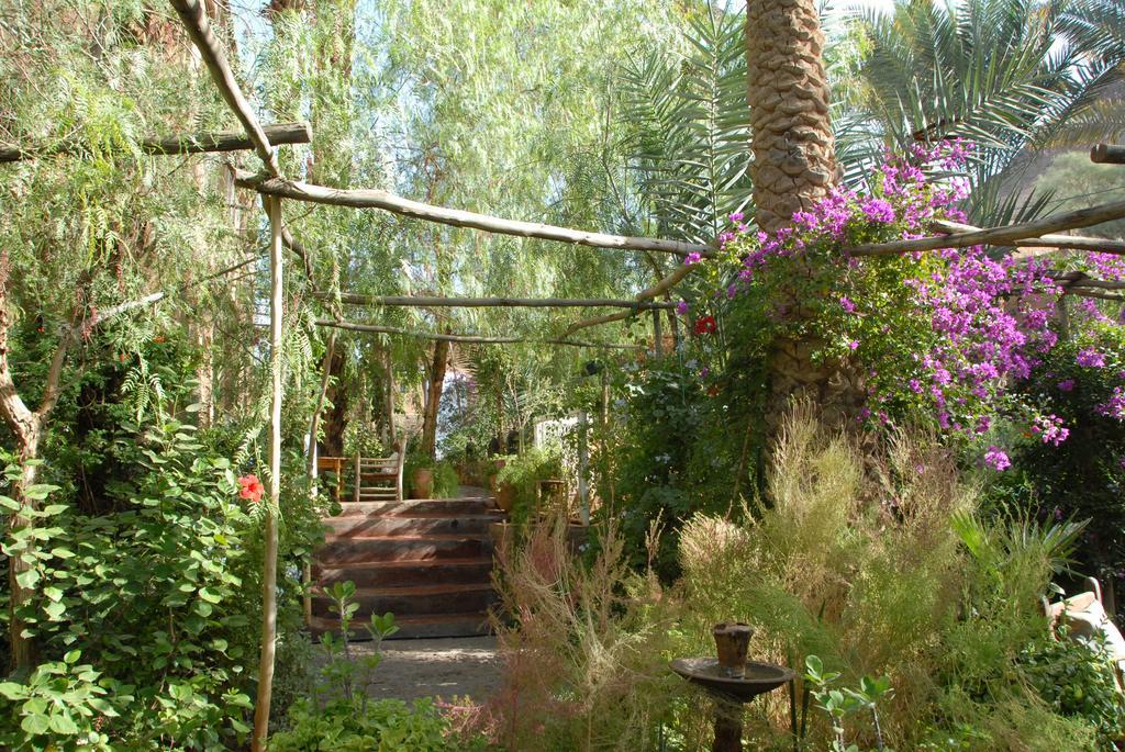 Villa Zagora Ma Villa Au Sahara Exterior foto
