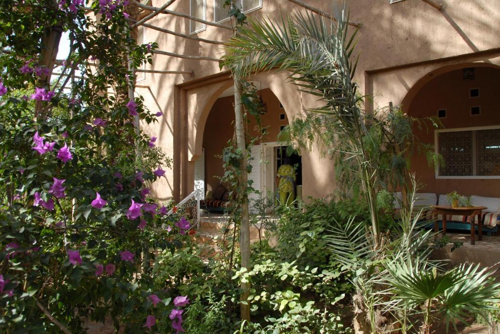 Villa Zagora Ma Villa Au Sahara Exterior foto